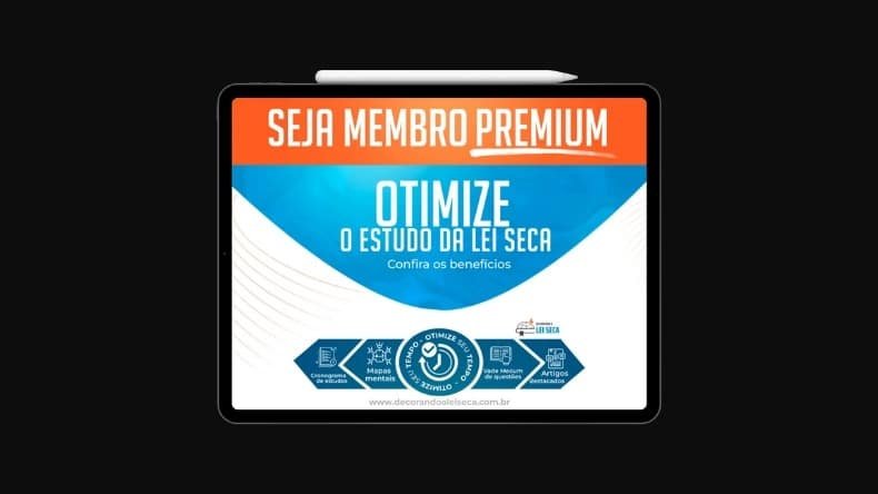 Decorando a Lei Seca Funciona? Decorando a Lei Seca Vale a Pena? Decorando a Lei Seca Funciona? Decorando a Lei Seca Vale a Pena?