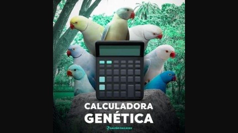 CALCULADORA GENÉTICA Funciona? CALCULADORA GENÉTICA Vale a Pena? CALCULADORA GENÉTICA Funciona? CALCULADORA GENÉTICA Vale a Pena?