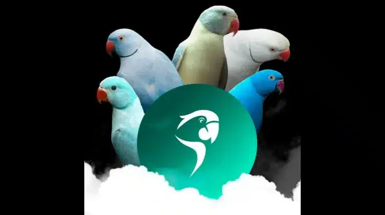 Galpão das Aves Funciona? Galpão das Aves Vale a Pena?