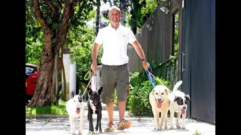 Curso Cão Ativo de Fernando Baiardi entrega o que promete?